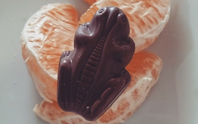 Chocolate frog on oranges